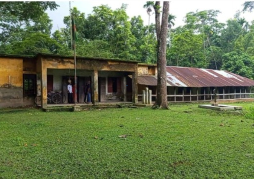 ৬ শিক্ষার্থী ১১ শিক্ষক পাশ করলেন ১জন